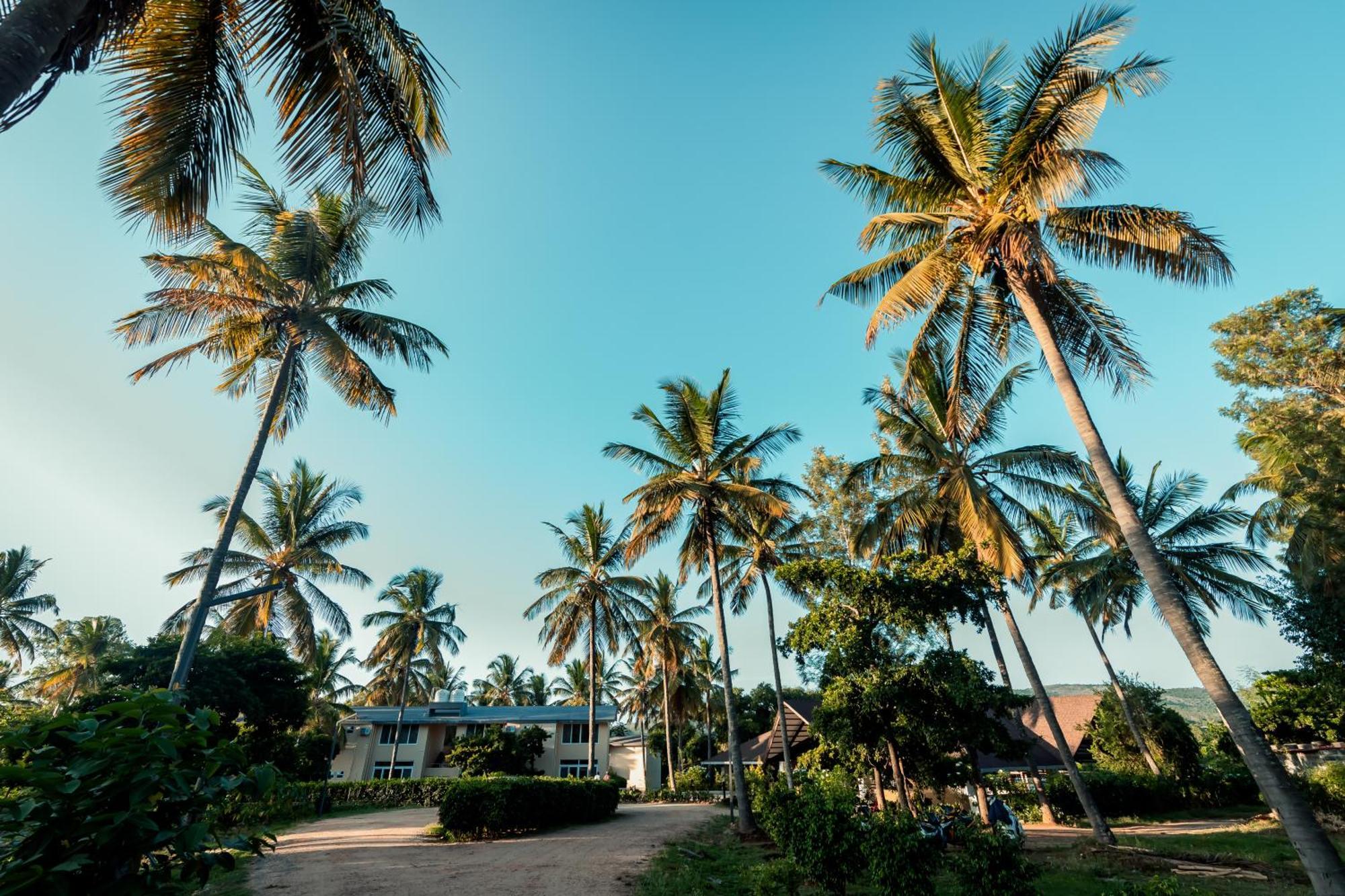 Commune18 Spa Resorts Chikmagalūr 外观 照片